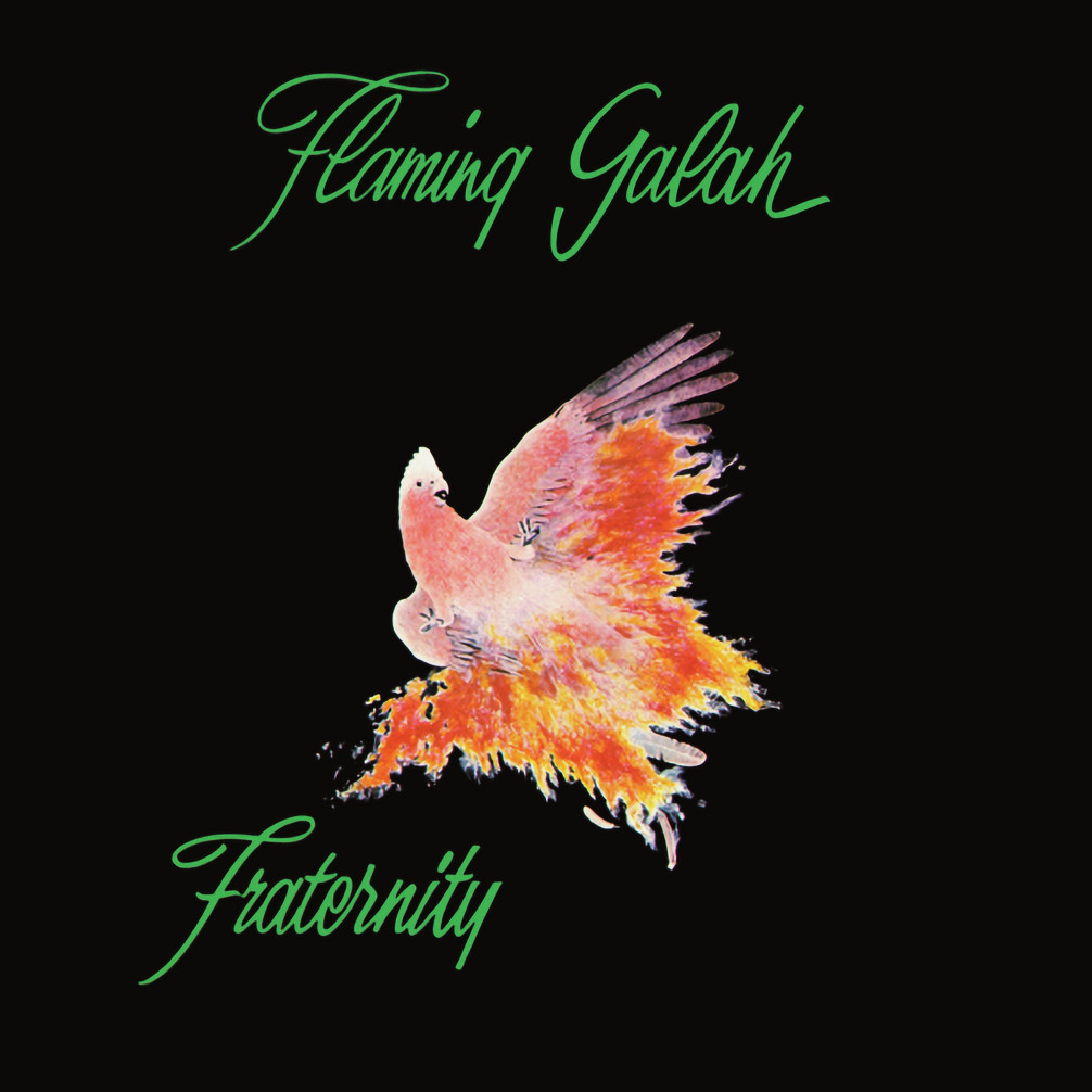 Flaming Galah